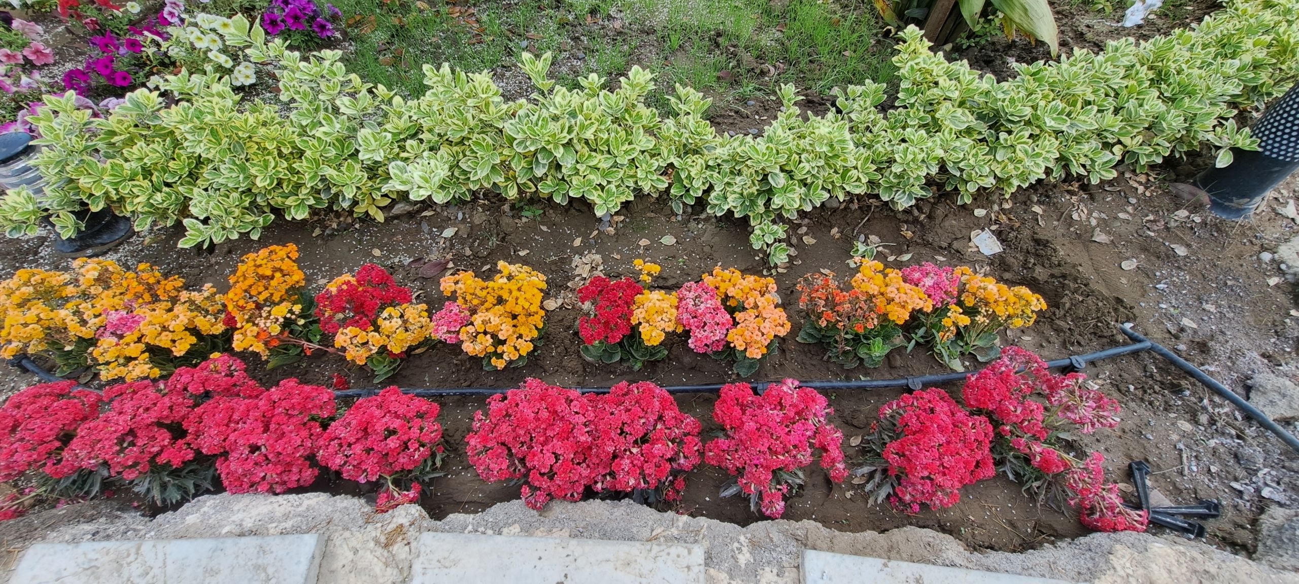 آبیاری قطره ای ویلا
