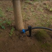 آبیاری قطره ای